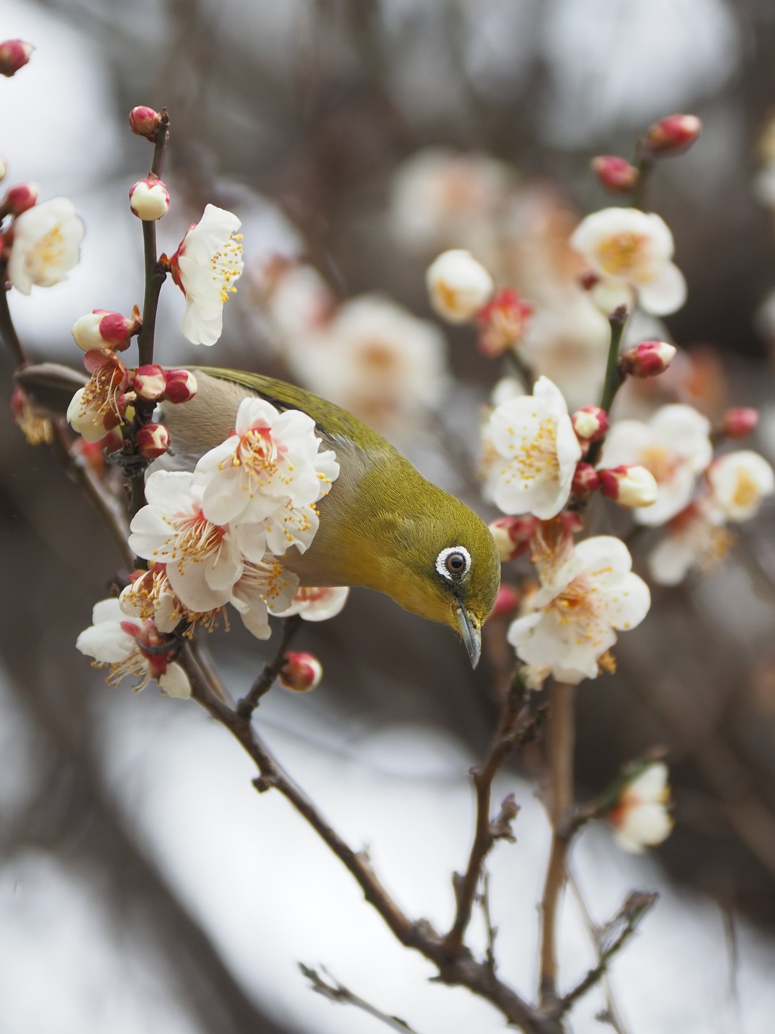 ちょっと一息