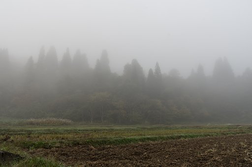 霧の朝Ⅳ
