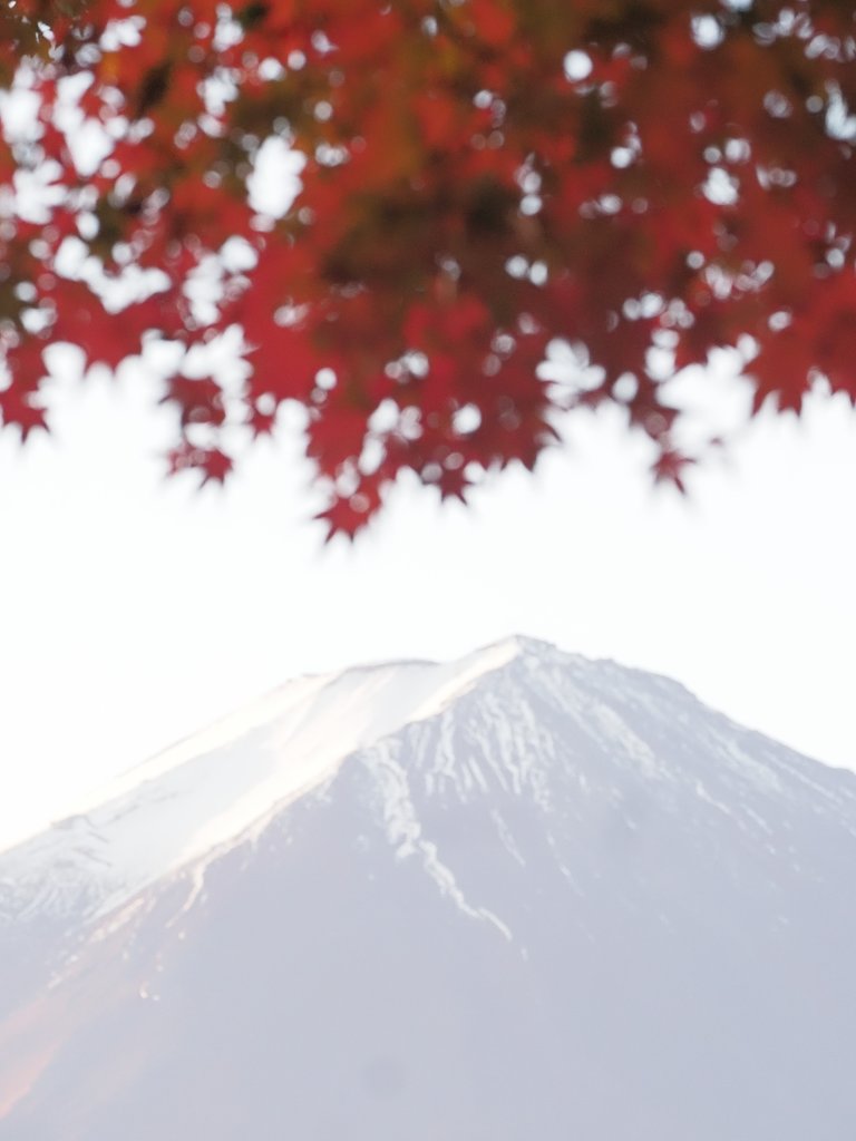 紅白の朝