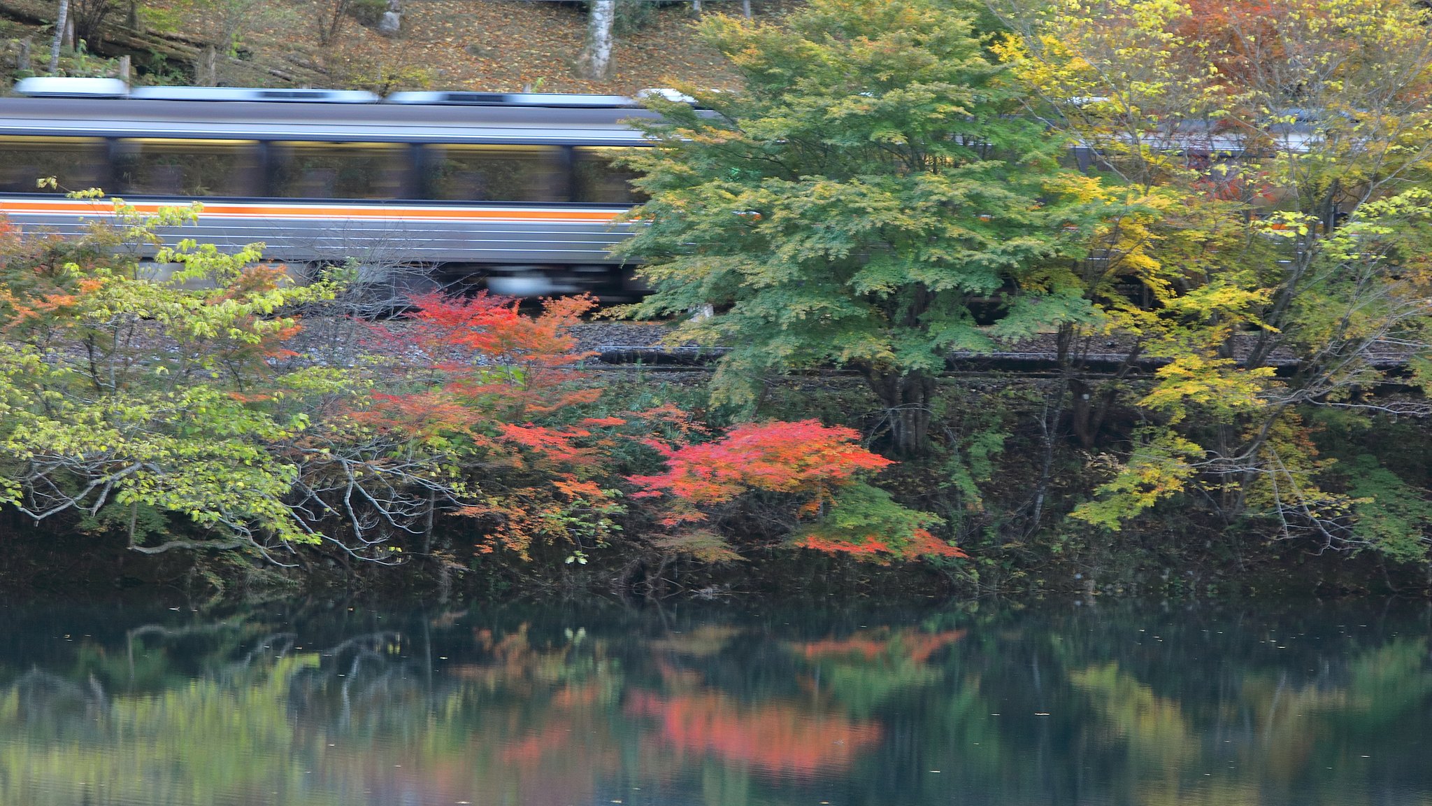 ダム湖の紅葉