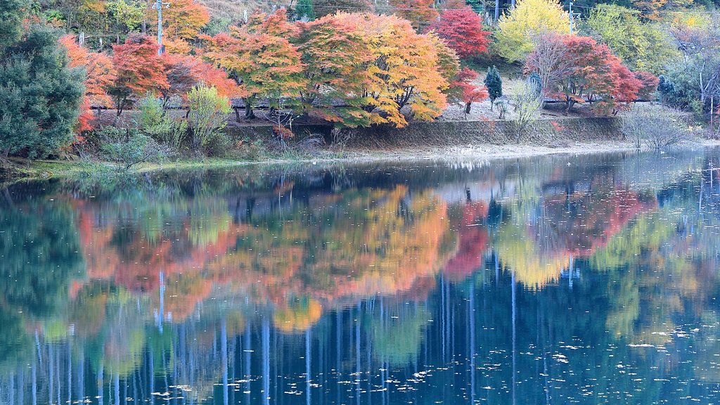 ダム湖の紅葉 Ⅱ