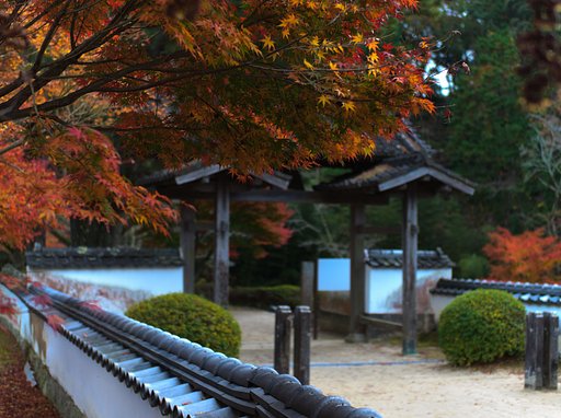高月院の紅葉