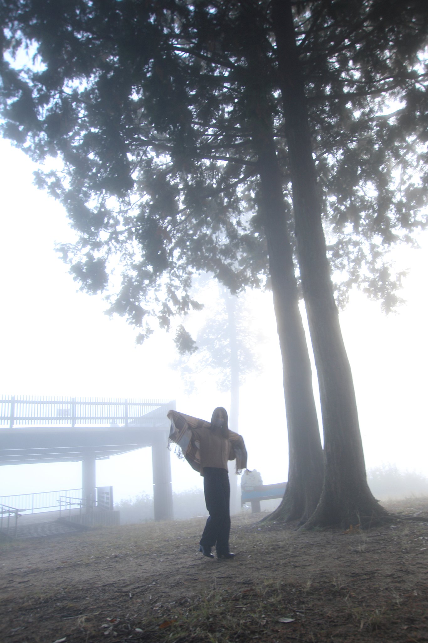 さわやか美人百景・霧の森の女神様