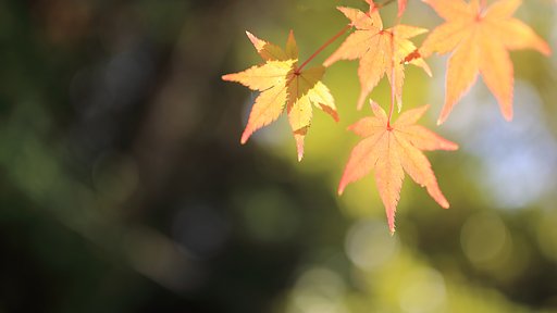 邑久町等覚寺にて