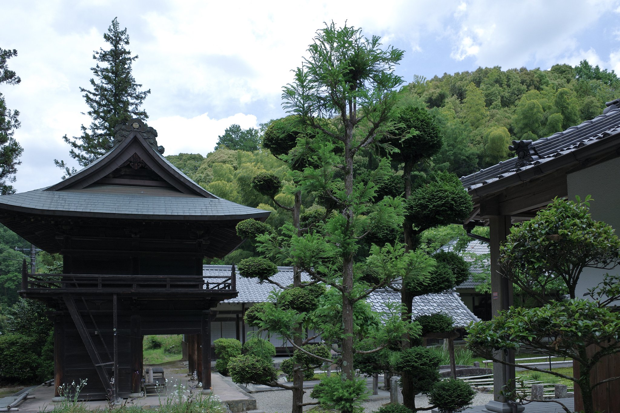 禅寺