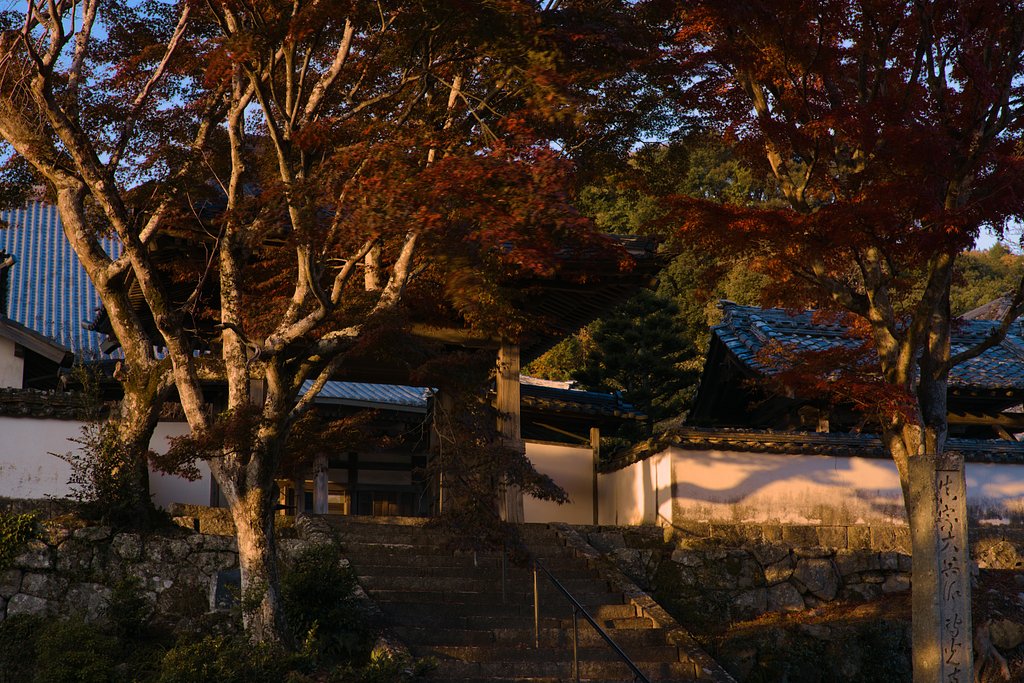 専光寺の紅葉