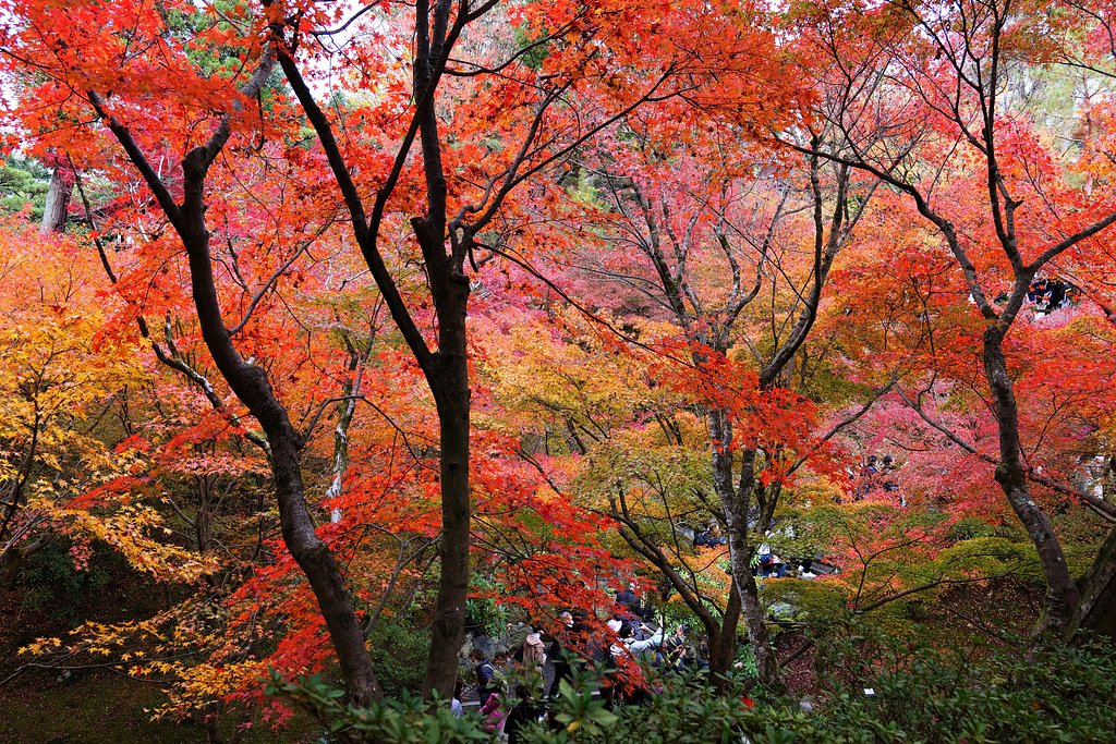 東福寺庭園にて