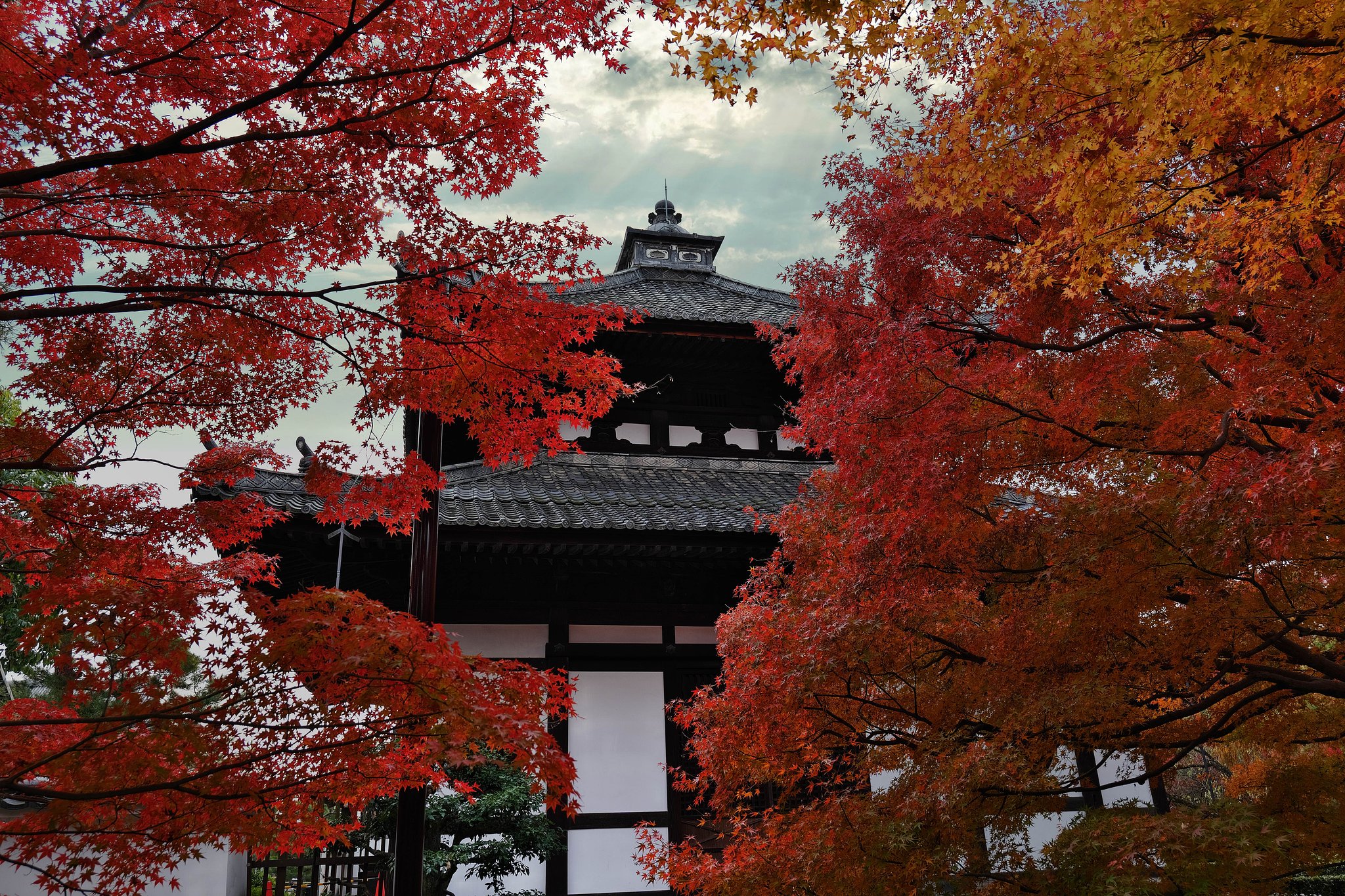 東福寺中庭