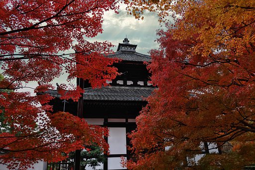 東福寺中庭