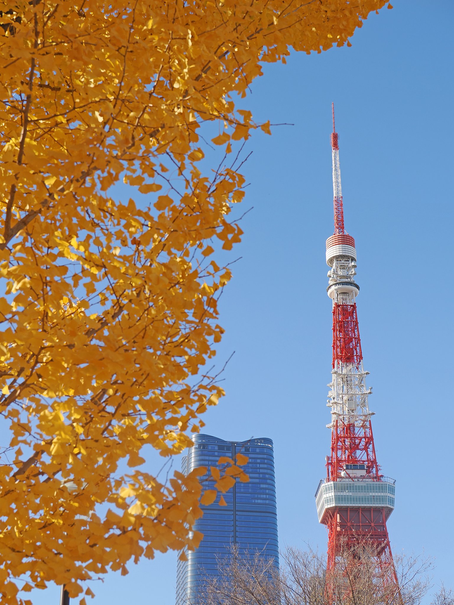 三尺去って師の影を踏まず？