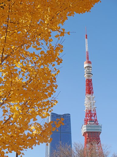 三尺去って師の影を踏まず？