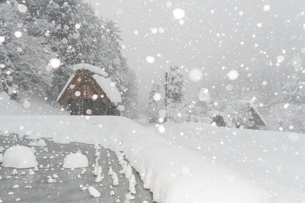 暖冬の大雪Ⅱ