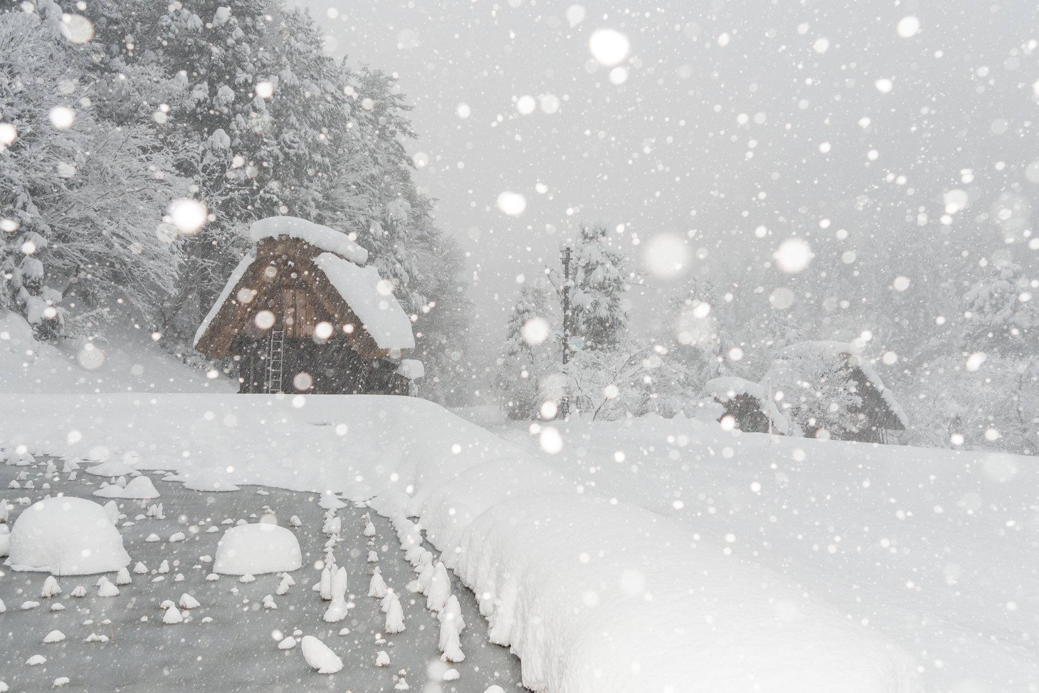 暖冬の大雪Ⅱ