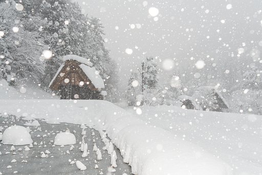暖冬の大雪Ⅱ