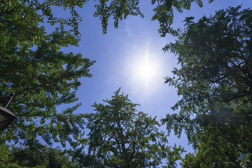 真夏の太陽