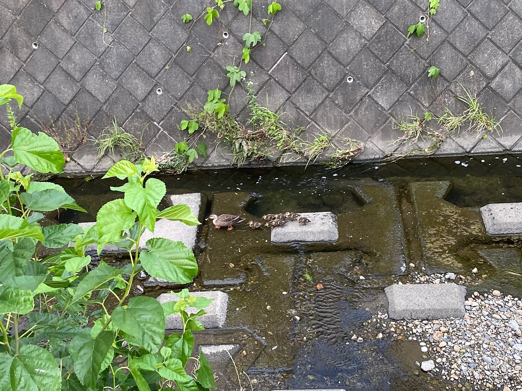 無事だろうか・・・？