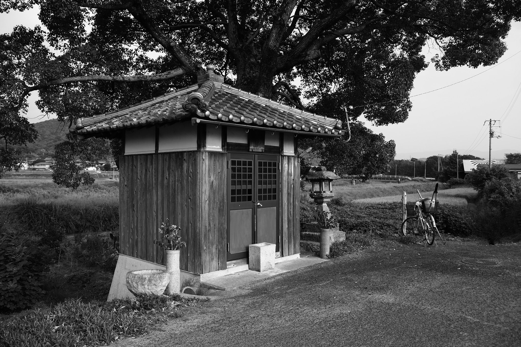 雑感