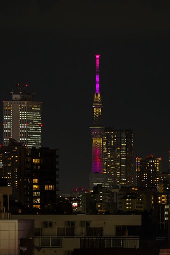 都会の彩