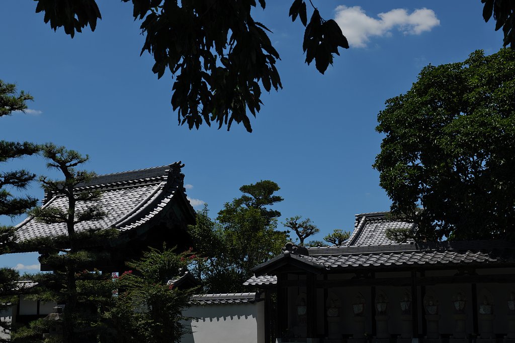 瓦
