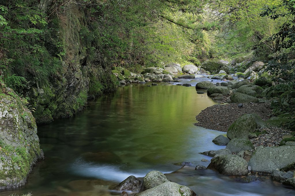 水辺の風景