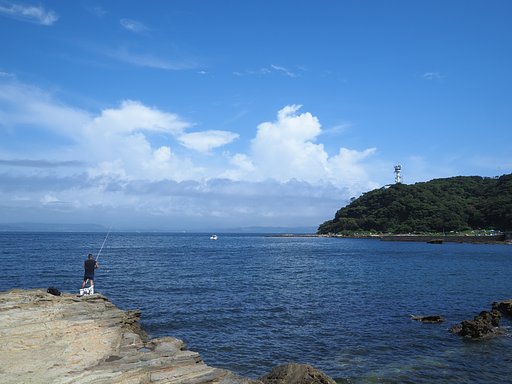 8月11日の写真