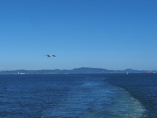 青の情景３