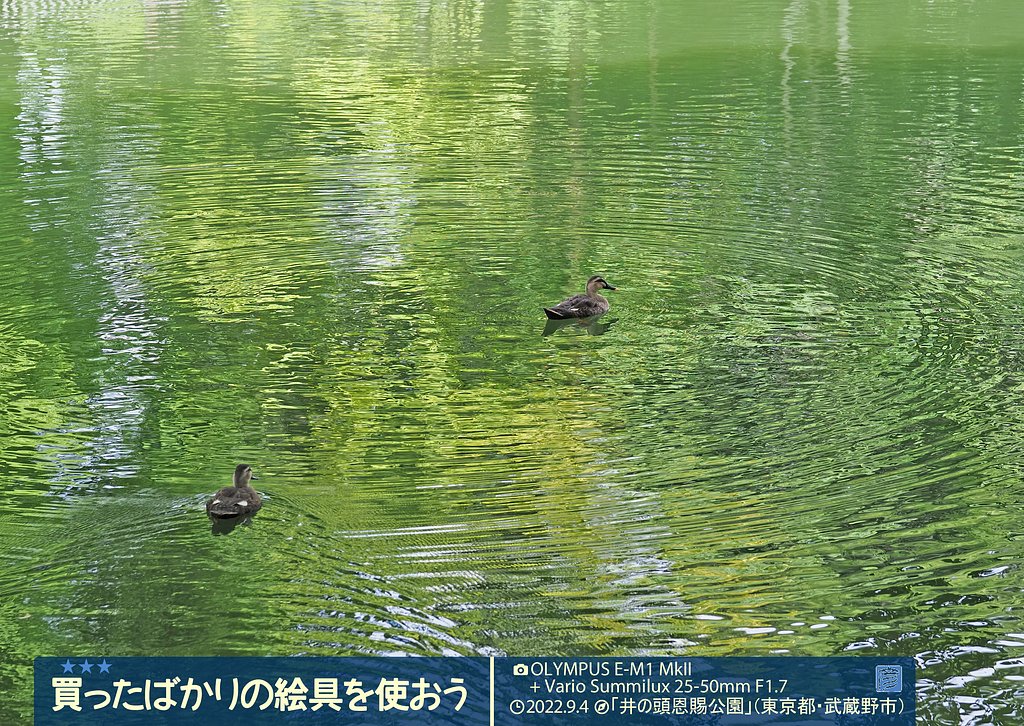 復帰間近？