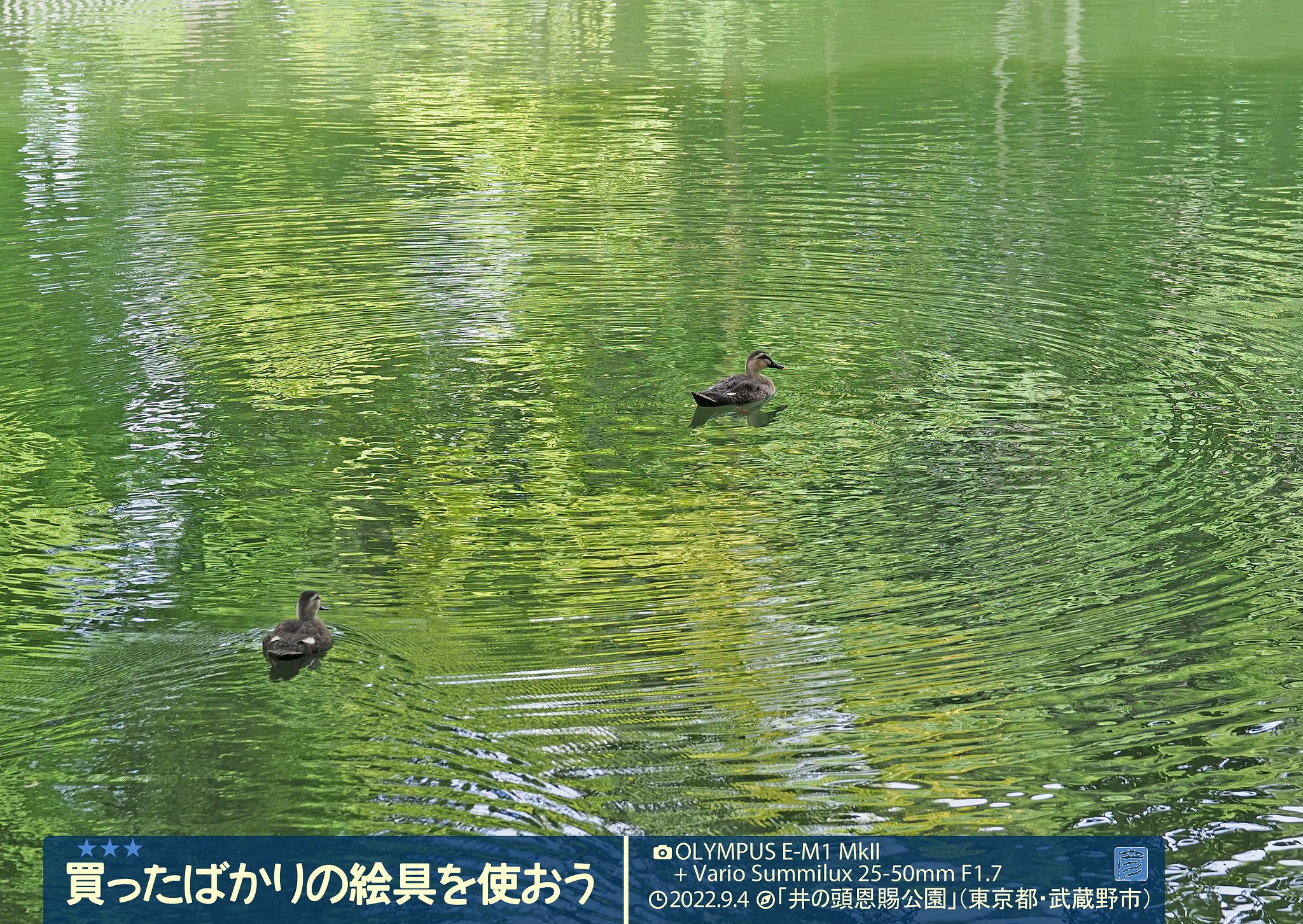 復帰間近？
