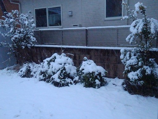 2月5日の写真