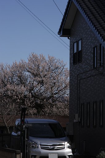 投稿削除のお願い