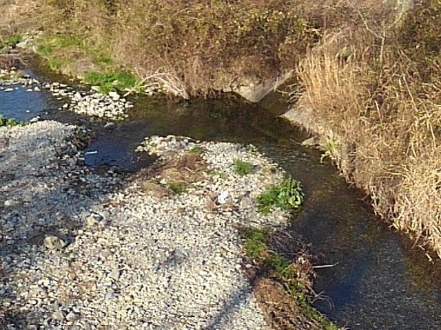 那須塩原市内の水が綺麗な川の景色