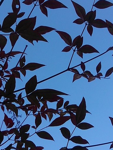 2月13日の写真