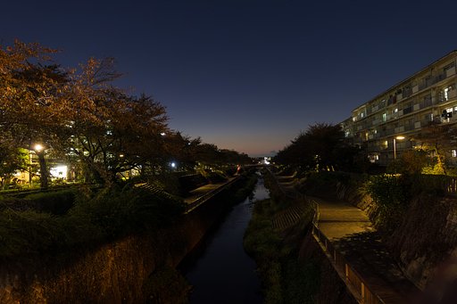 夜の散歩