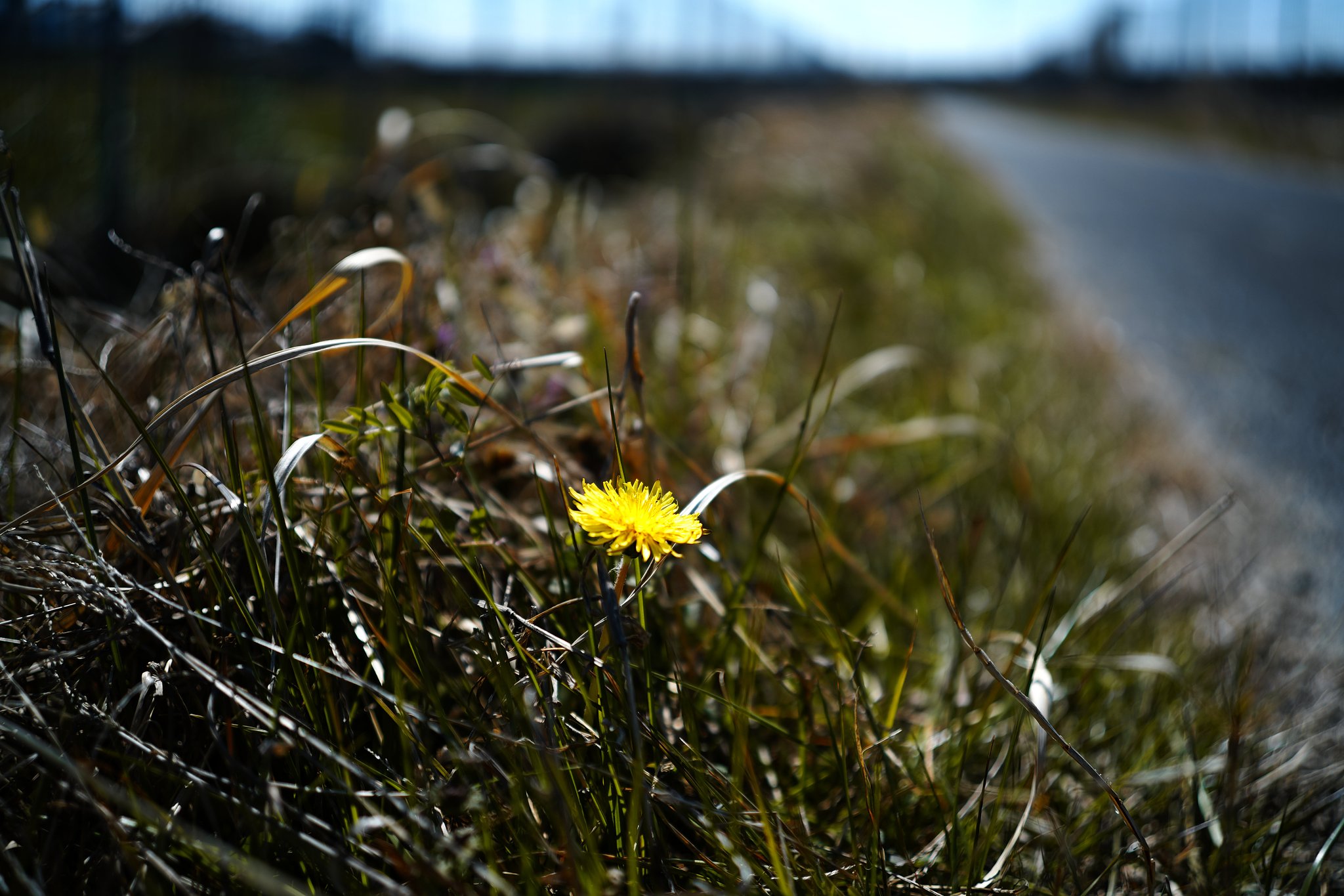 Country road