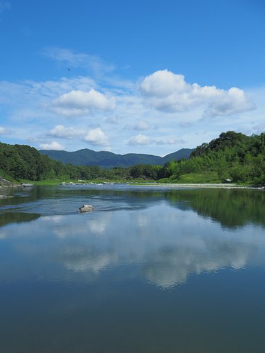 夏色に染まる