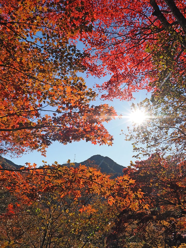 秋が満ちる