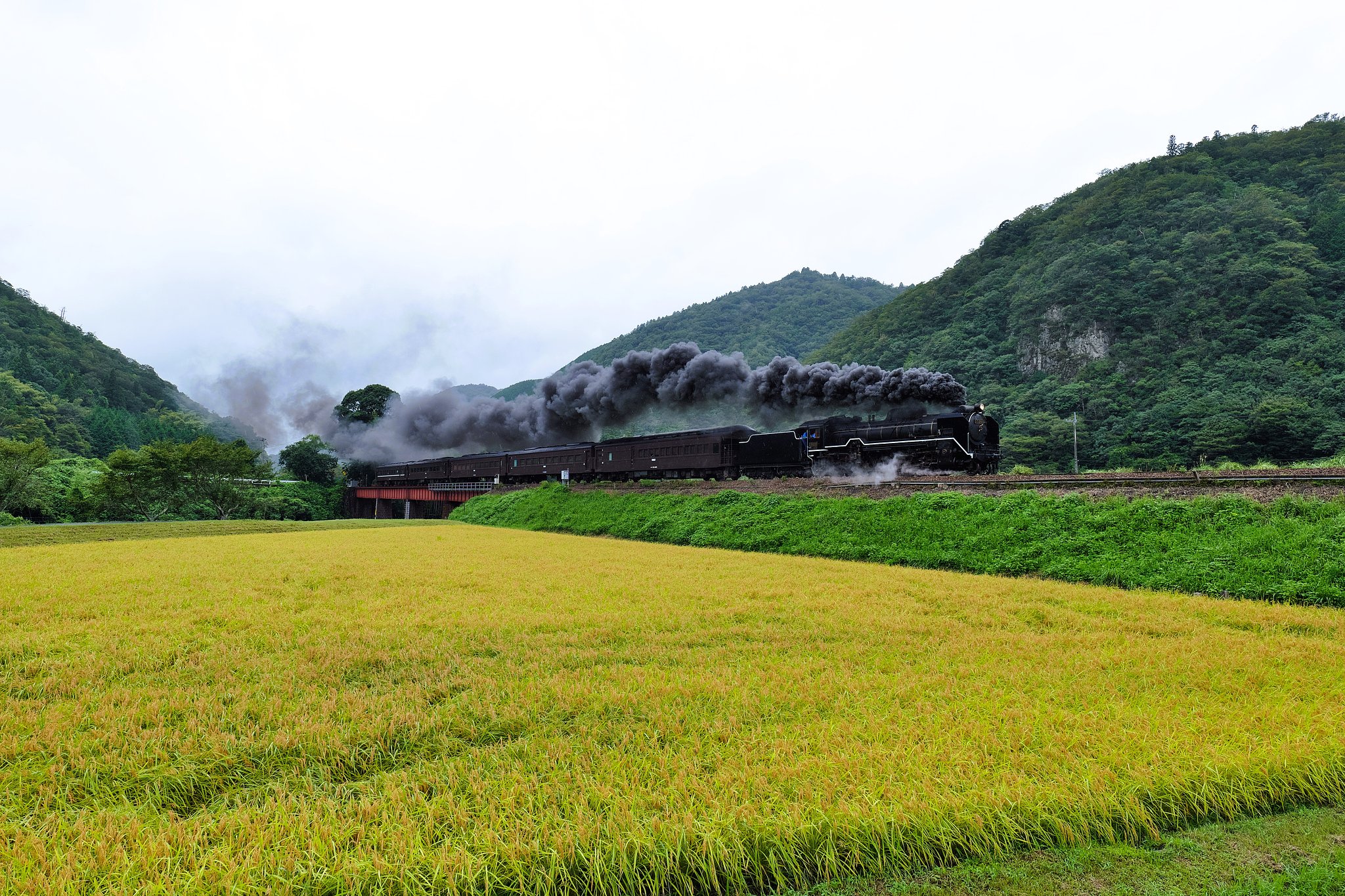 Train Kept a Rollin'