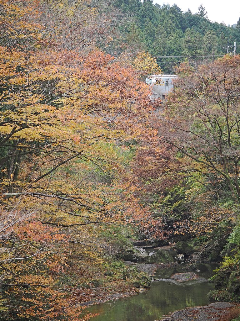 秋を駆け抜ける２