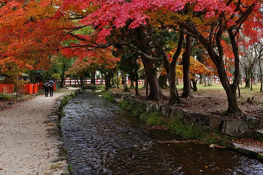 上賀茂神社にて