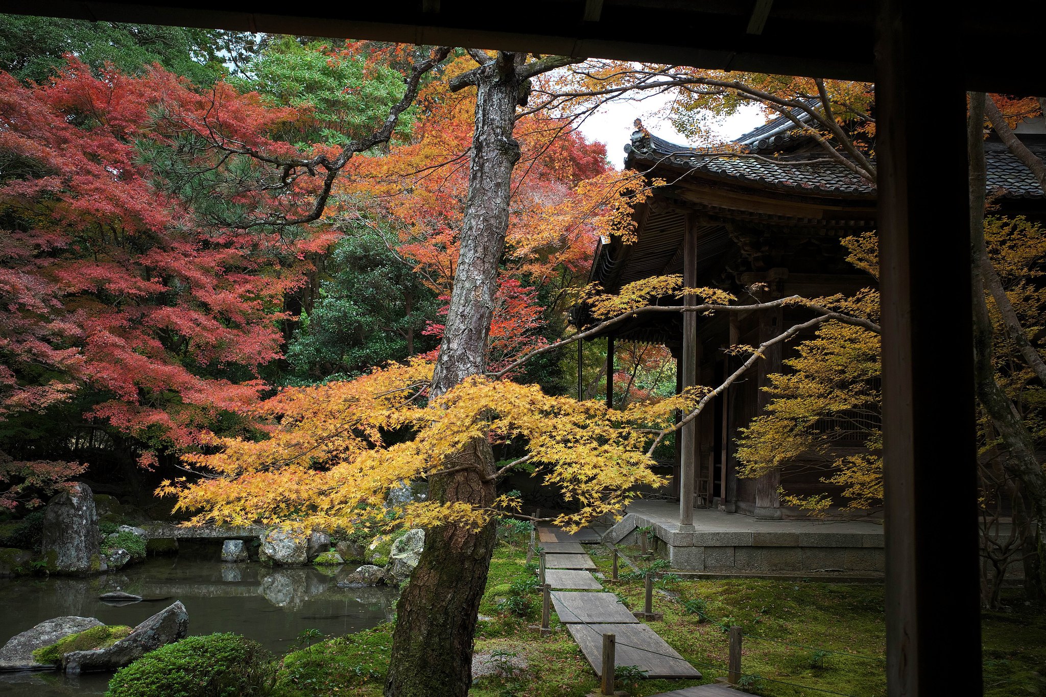 蓮華寺にて
