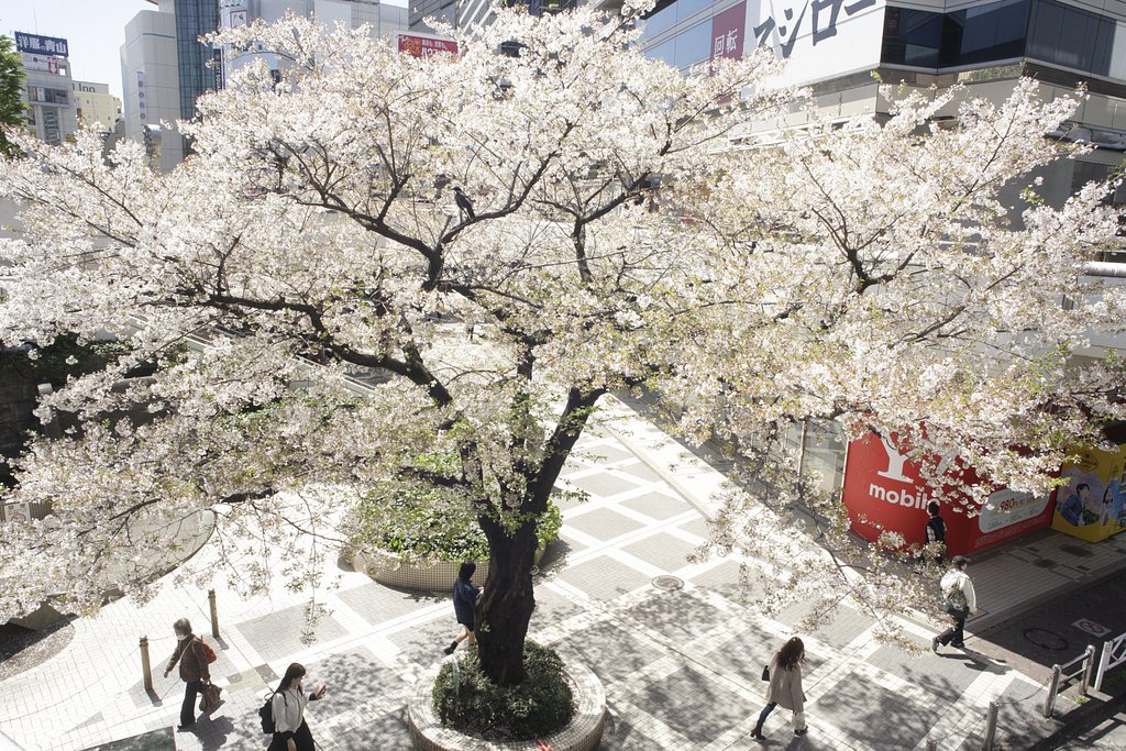 O-miya station