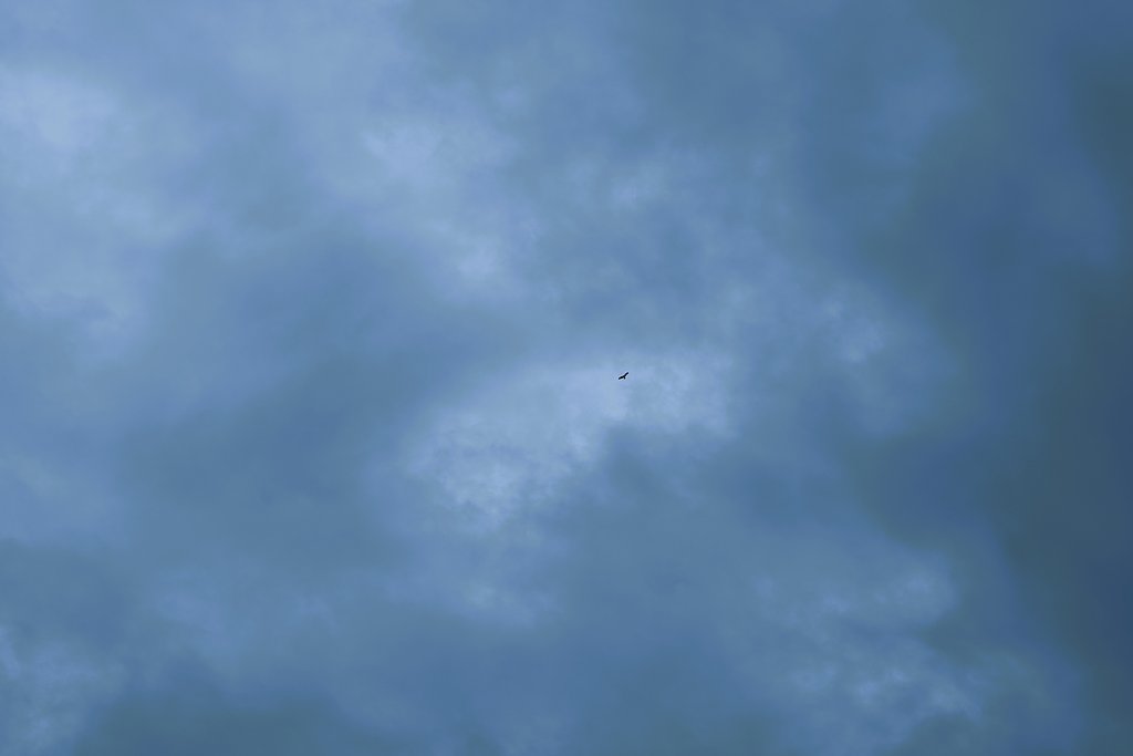 空