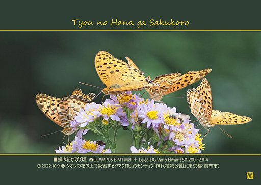 10月9日の写真