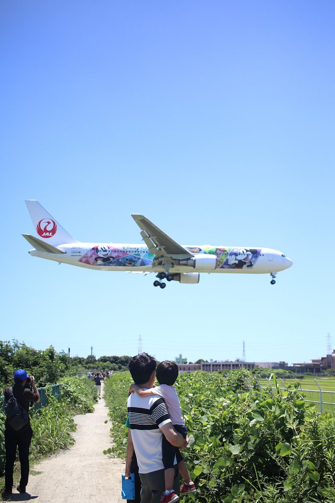 伊丹空港・JALディズニー特別塗装機・帰還