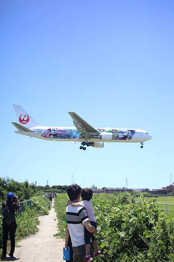 伊丹空港・JALディズニー特別塗装機・帰還