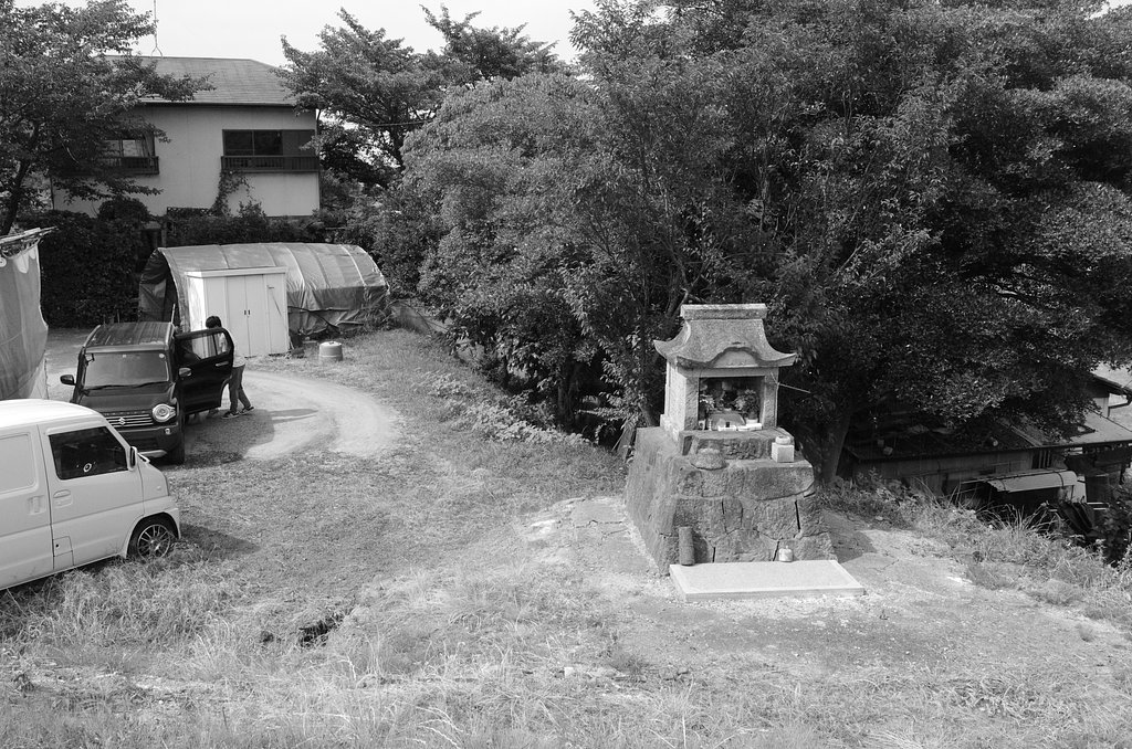 雑感