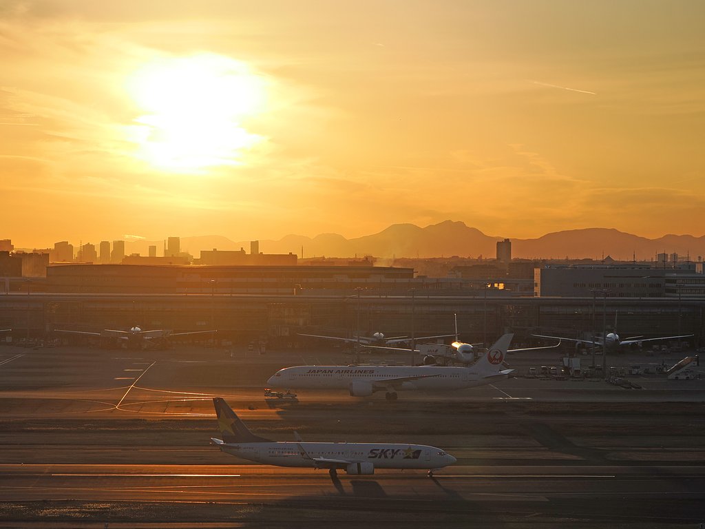 夕鶴