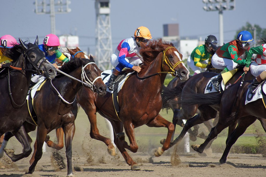 競馬