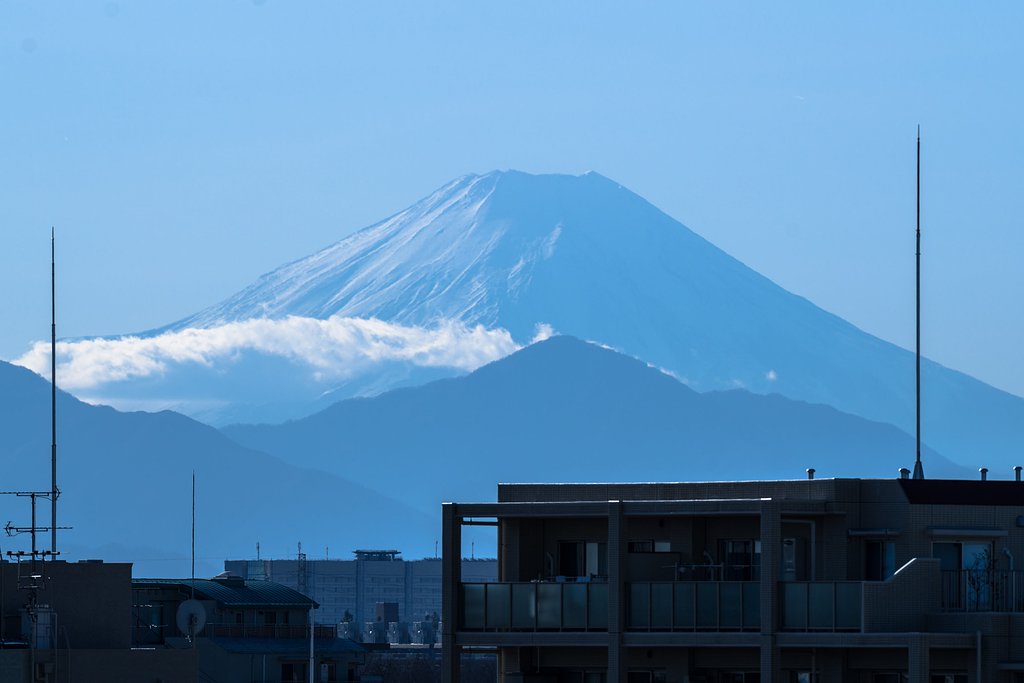 本年が平穏でありますように