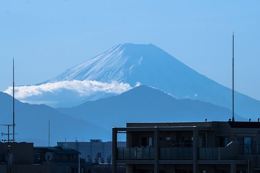 本年が平穏でありますように